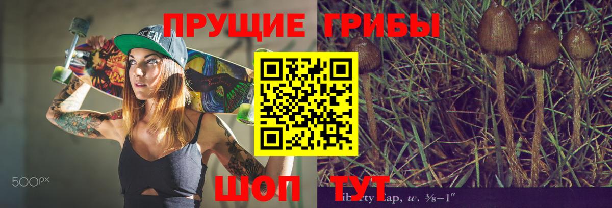 даркнет сайт  Вход с VPN  Гатчина  Галлюциногенные грибы мицелий 