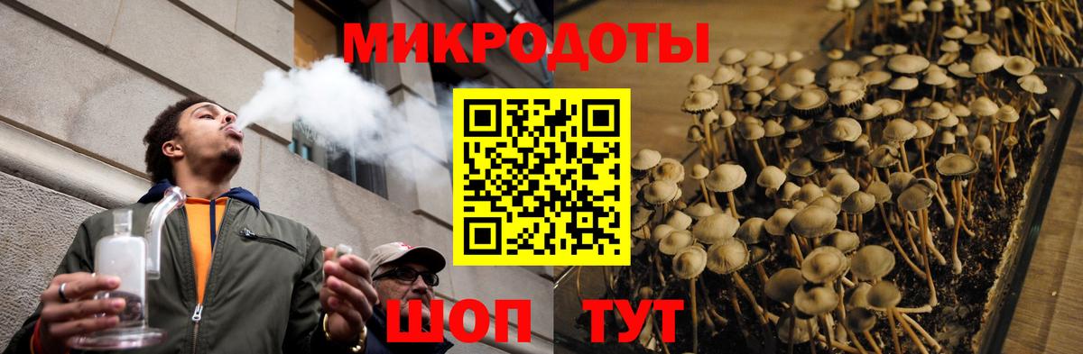 Галлюциногенные грибы GOLDEN TEACHER Гатчина